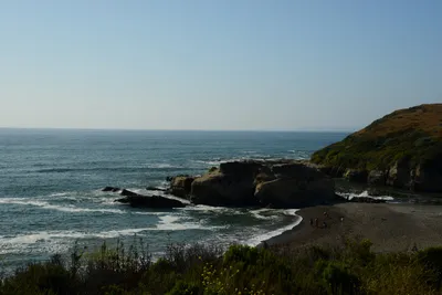 DSC_2717 (Large).JPG